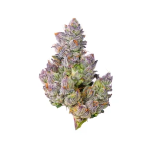 Gelato 33 THCa Flower
