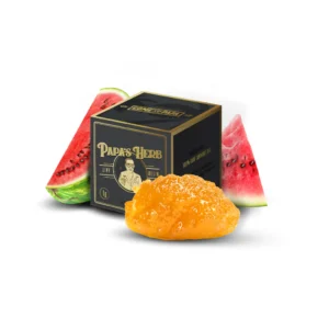 2G DABS WATERMELON Z INDICA