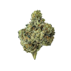 Watermelon Z THCa Flower