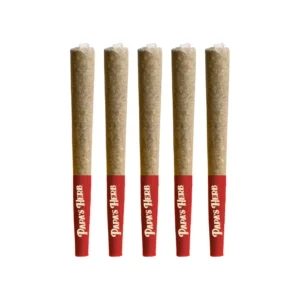 INFUSED 5 PACK WATERMELON Z INDICA